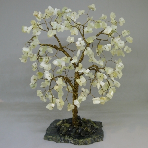 Клён из лунного камня - дерево счастья