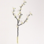 Цветущая ветка -Вишневый сад- из агата и авантюрина - цветы из камня